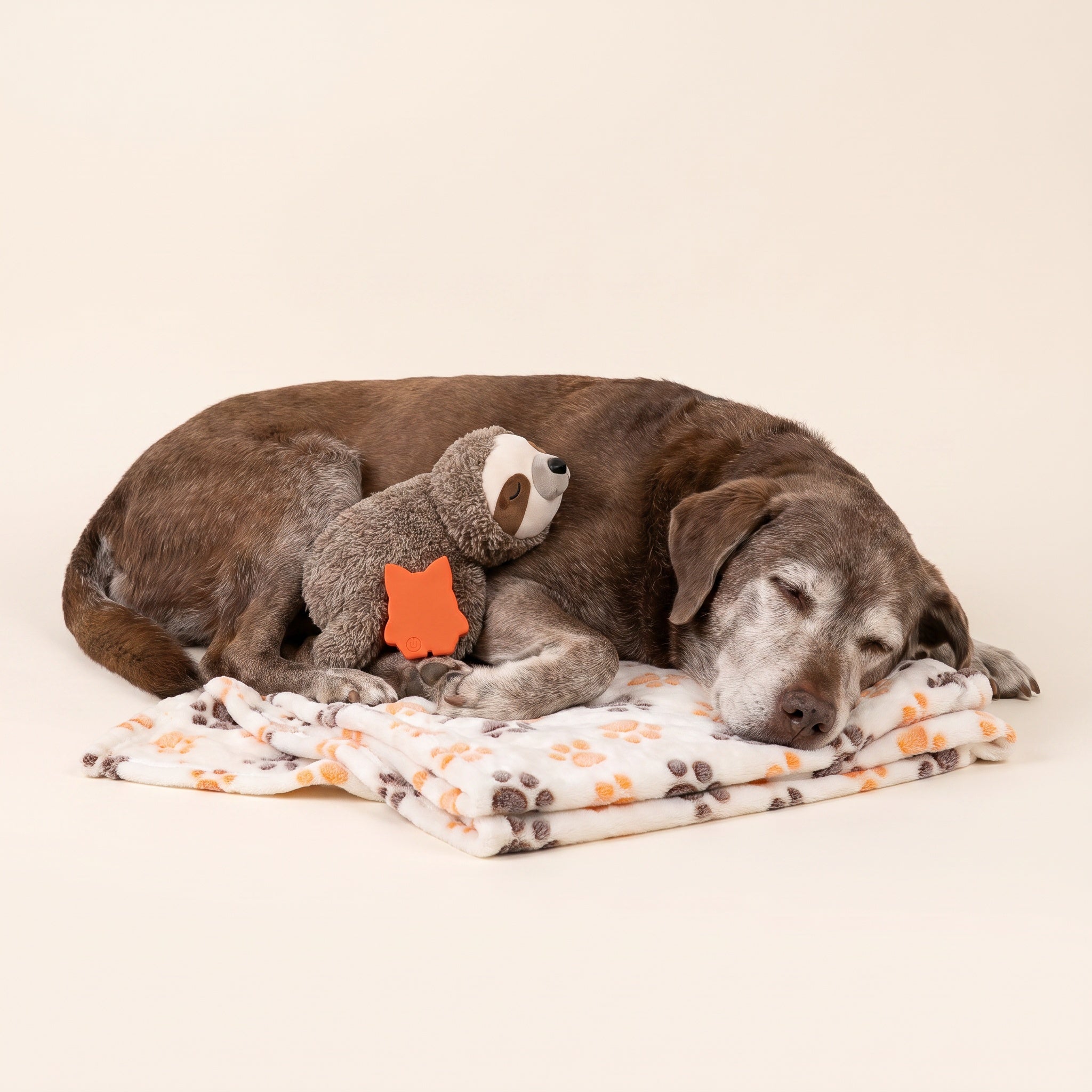 A senior dog asleep on the Wagvive paw print fleece with the heartbeat sloth
