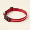 Wagvive LED Safety Halo Collar, Red