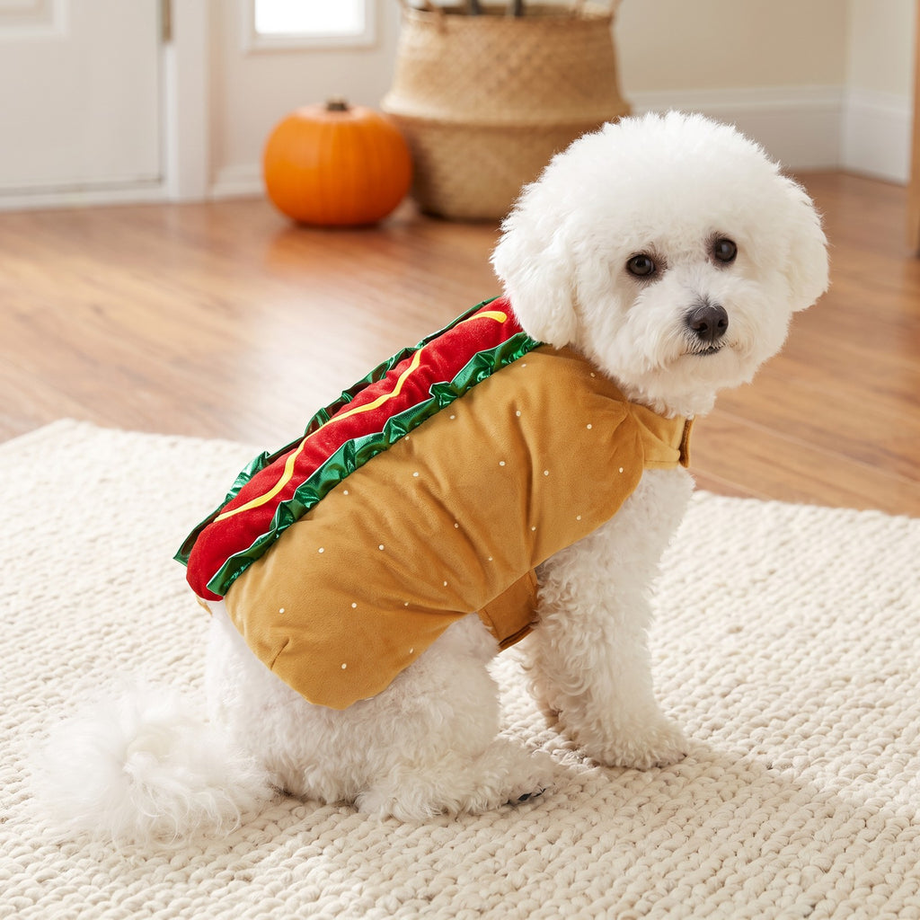 Wagvive Hot Dog Costume on a small dog